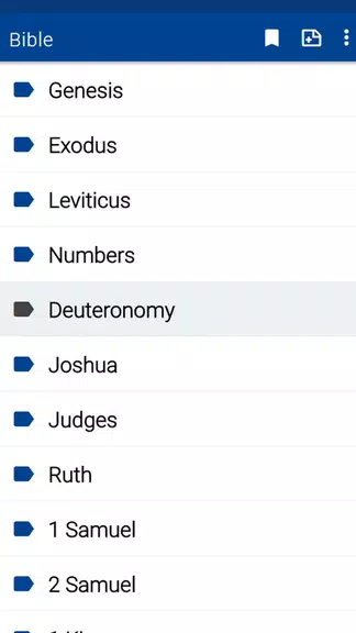 Spurgeon Bible Commentary應用截圖第1張