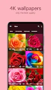 Rose Wallpapers 4K應用截圖第1張