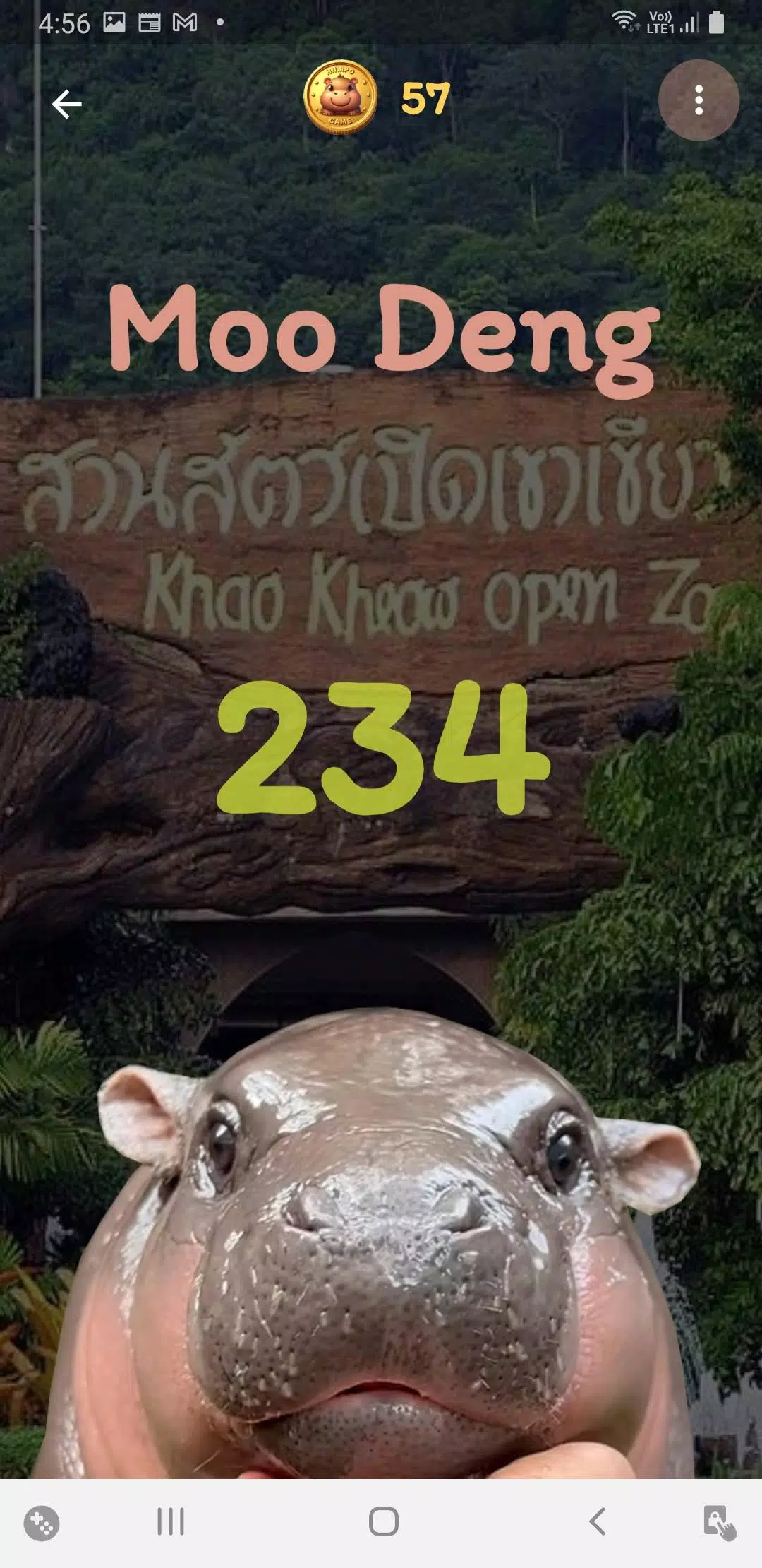 Moo Deng Tangkapan skrin 2
