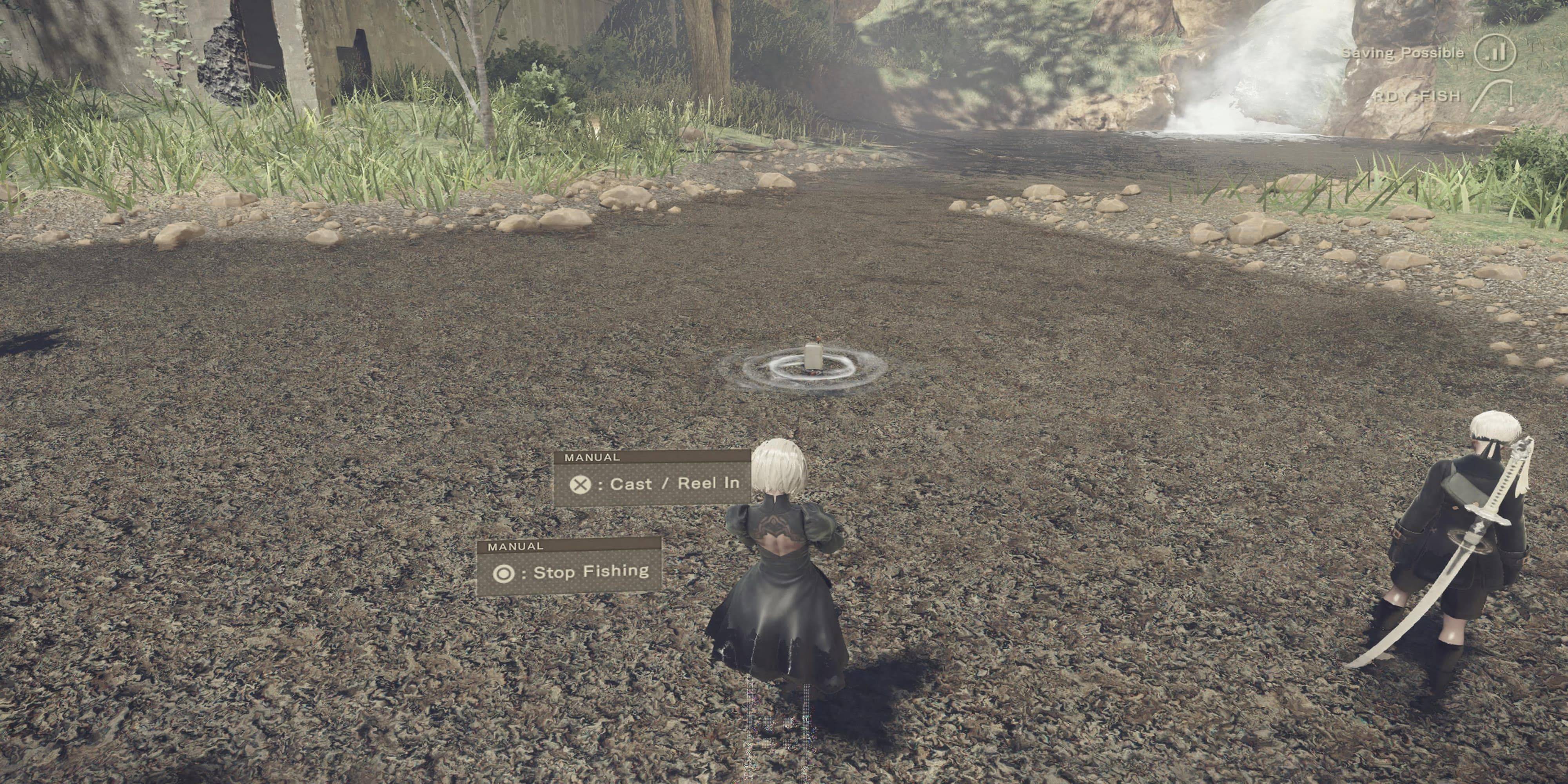 NIER：自动机揭露隐藏的水生宝藏