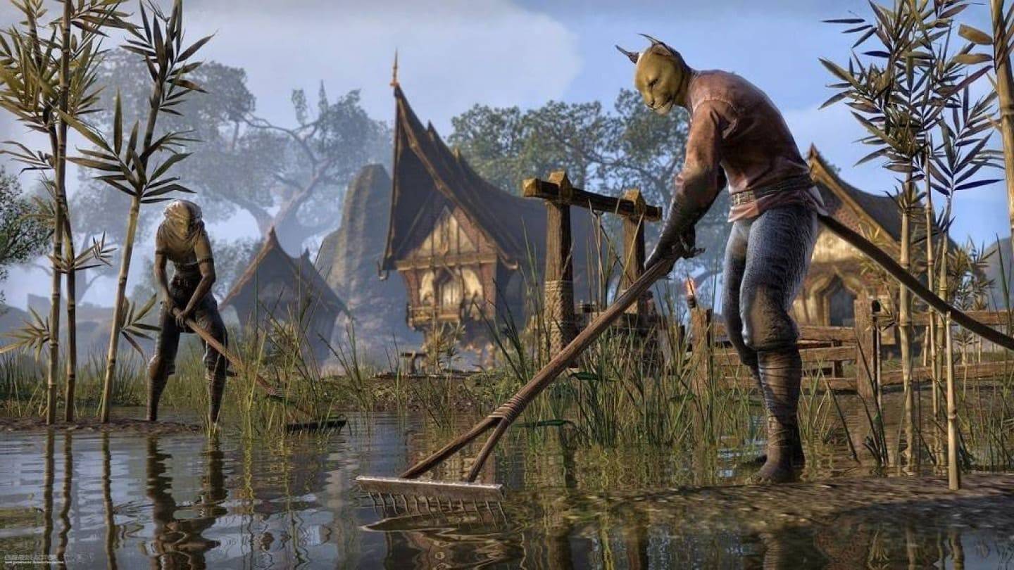 Spieler bezahlt 100.000 Dollar für Auftritt in Elder Scrolls VI
