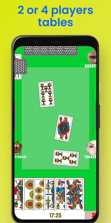 Scientific Broom Online Скриншот 0