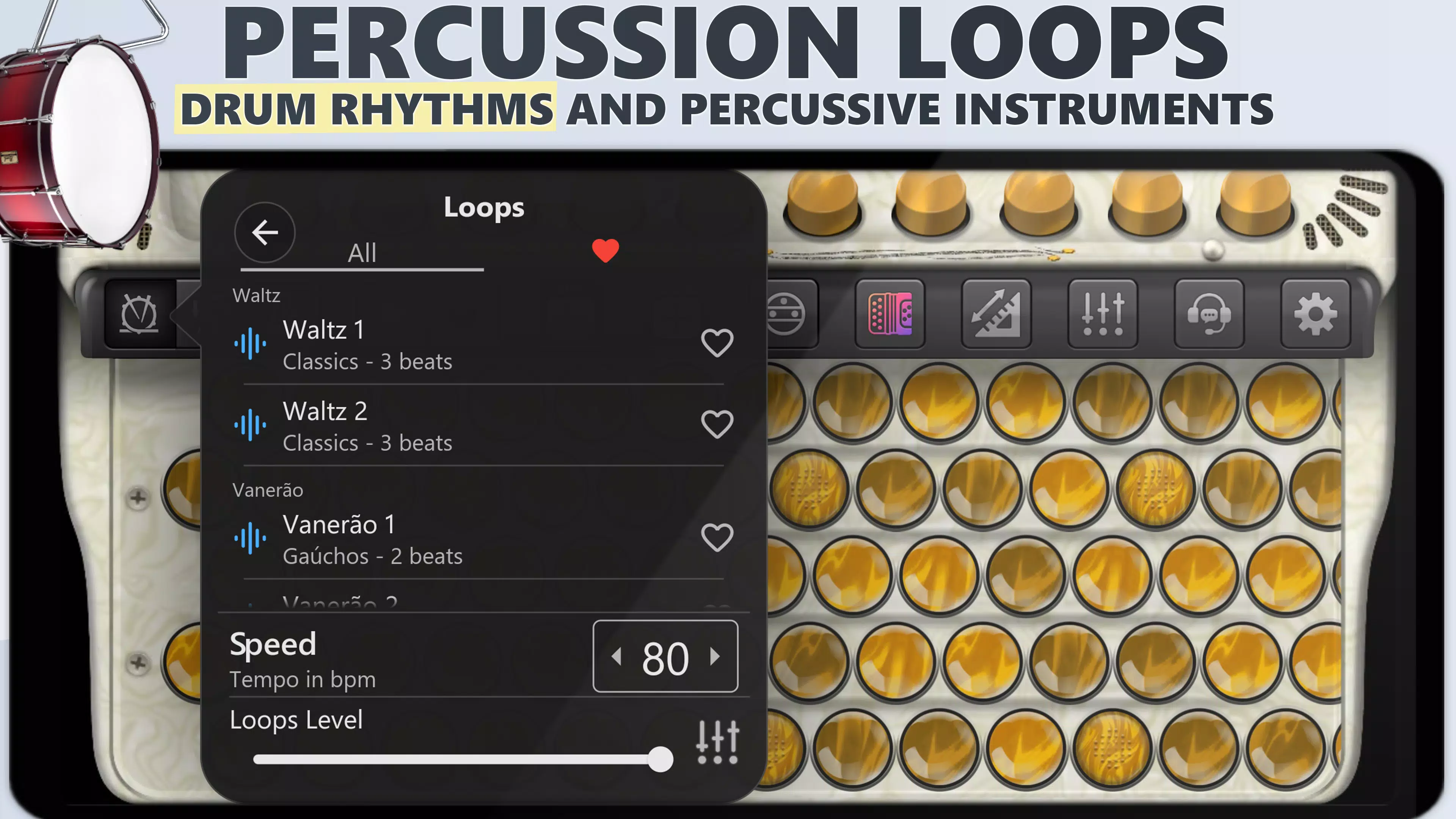 Accordion Chromatic Cassoto ภาพหน้าจอ 2