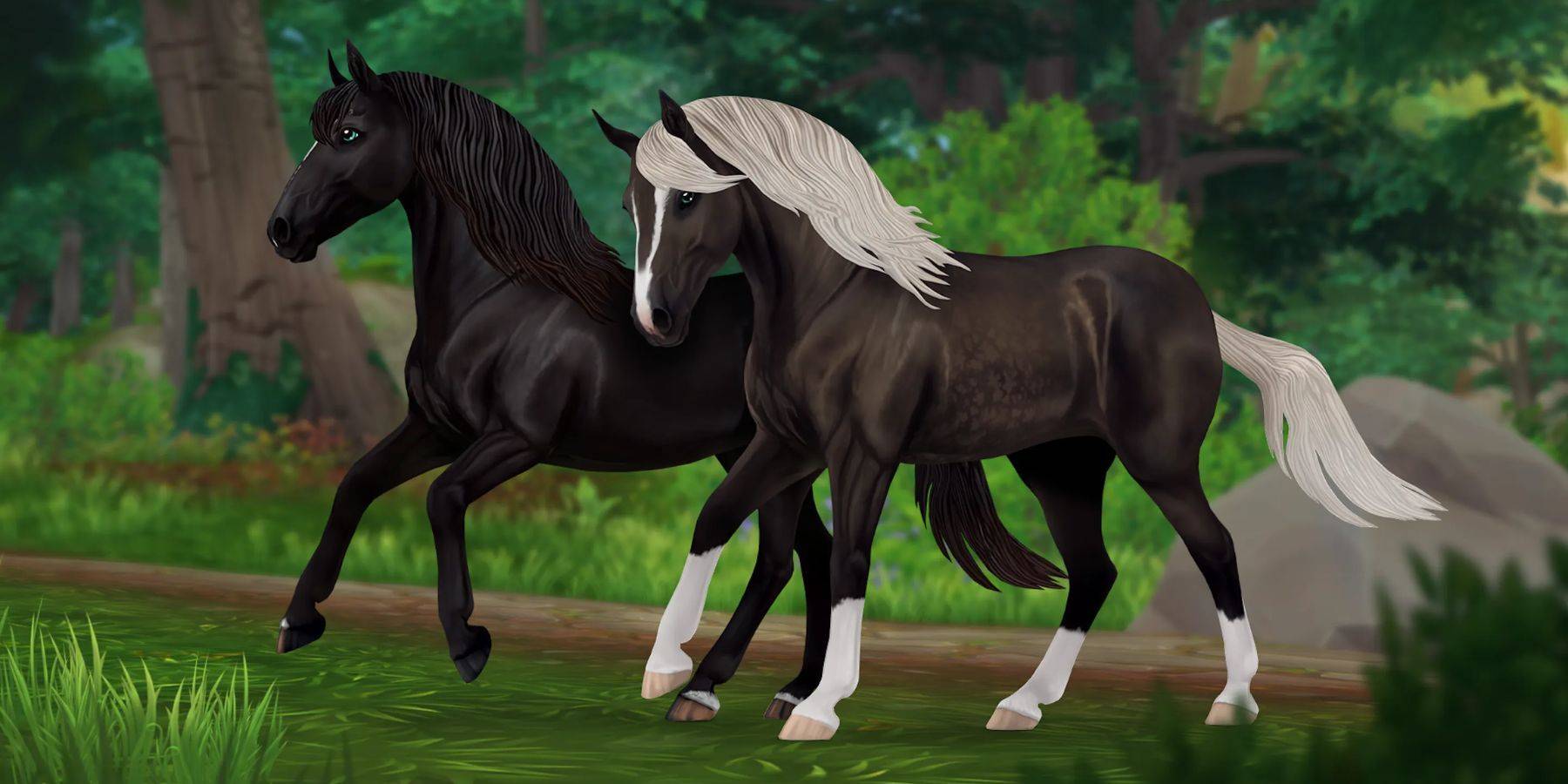 Star Stable Codes Image