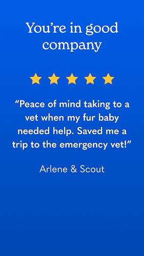 Airvet for Pet Parents应用截图第1张