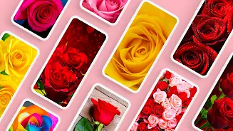 Rose Wallpapers 4K應用截圖第0張