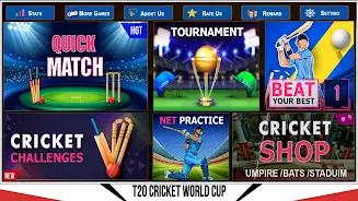Indian Cricket Championship Tangkapan skrin 3
