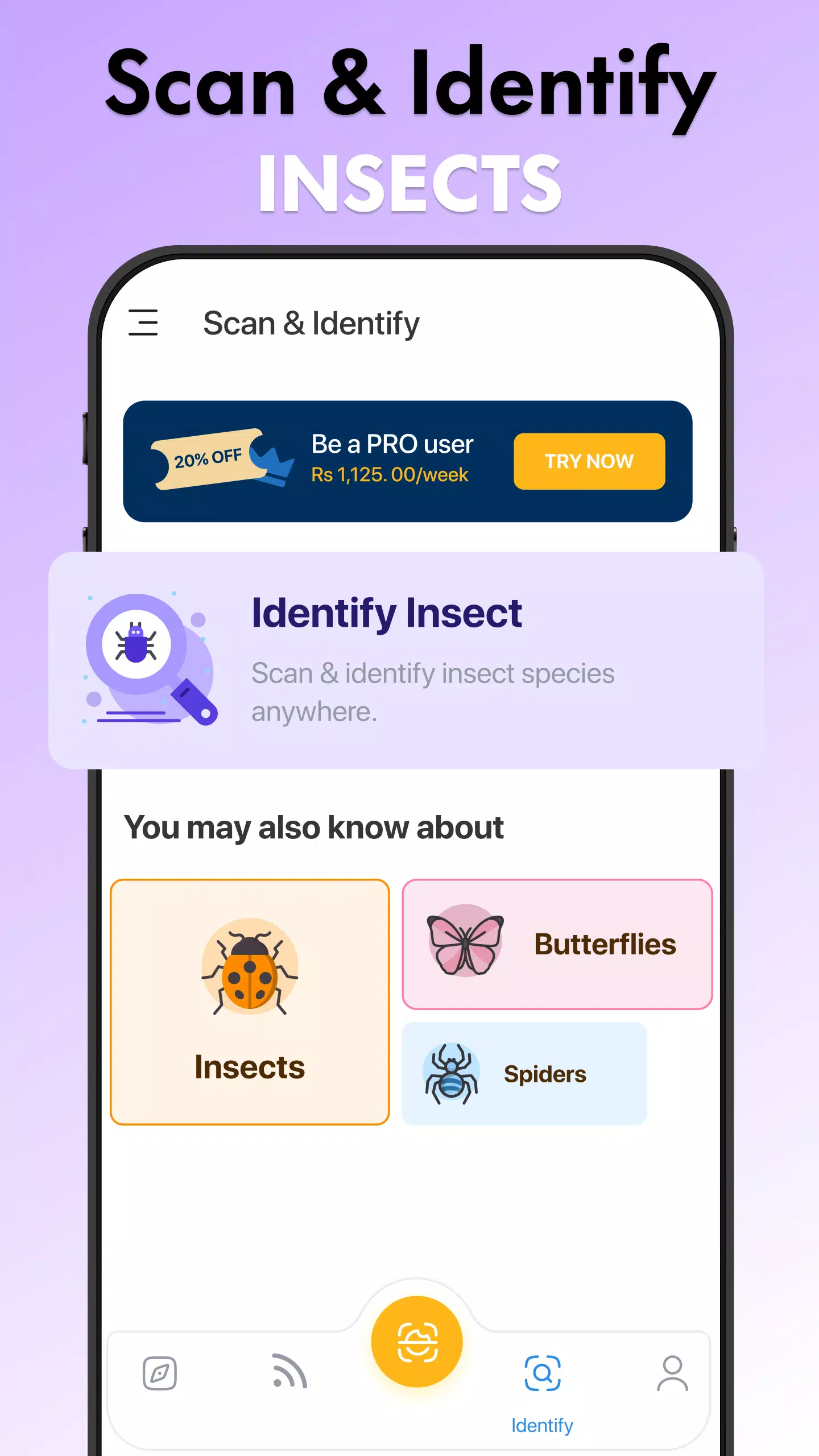 Insect Identifier Bug Identify ภาพหน้าจอ 3