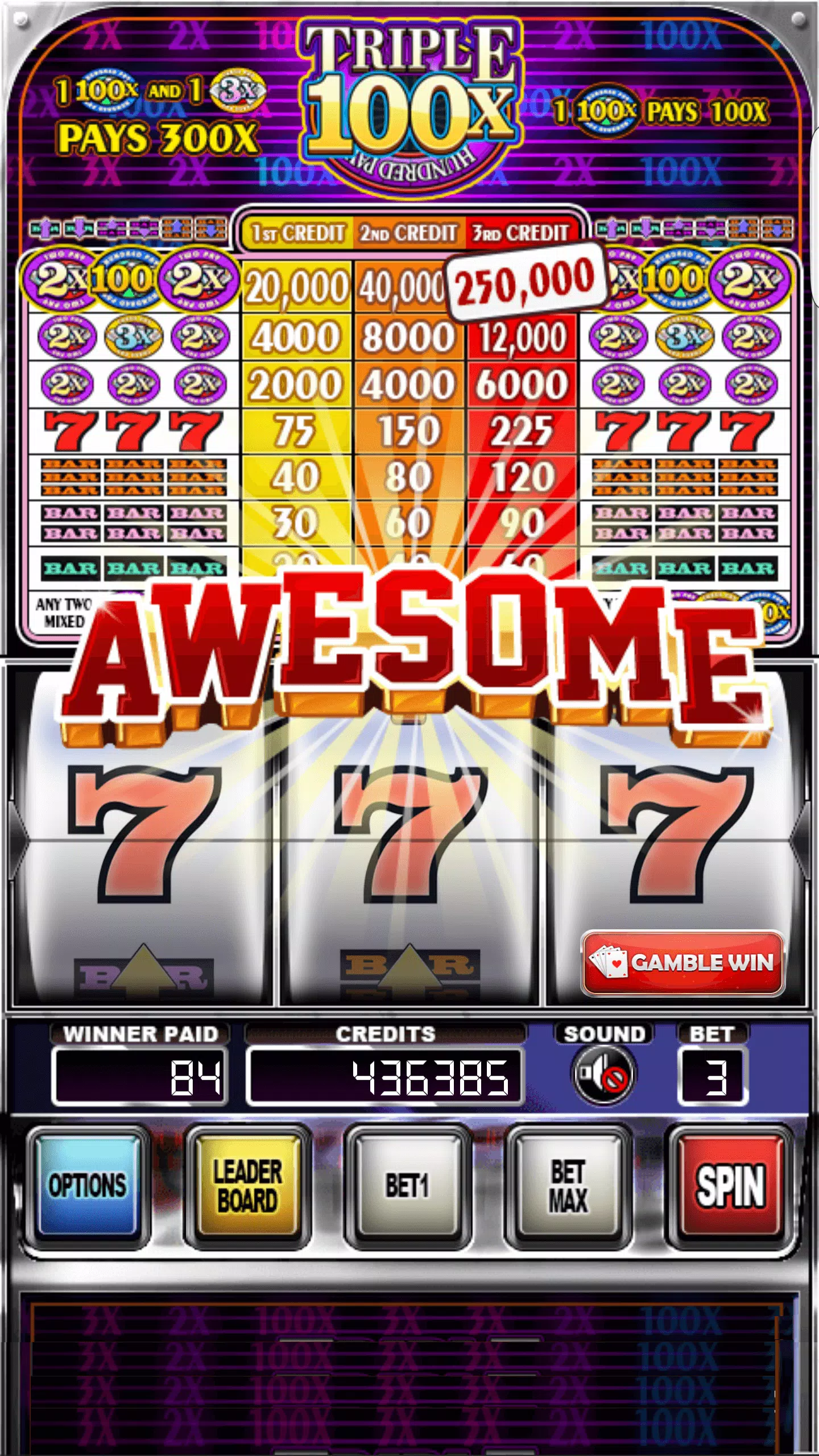 Double Wild Slots স্ক্রিনশট 2