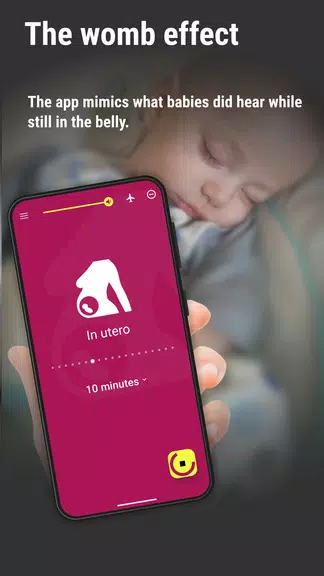 Baby Sleep: 新生兒搖籃曲應用截圖第2張