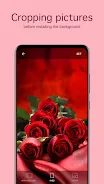 Rose Wallpapers 4K應用截圖第3張