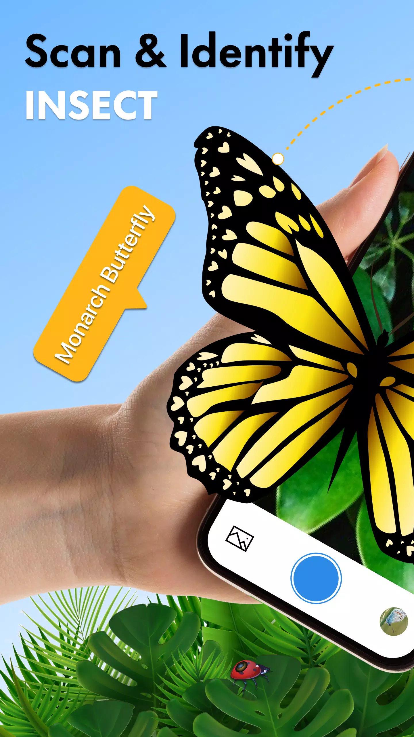 Insect Identifier Bug Identify ภาพหน้าจอ 0