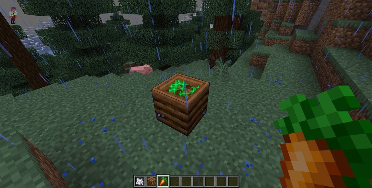 Minecraft Composting Pit