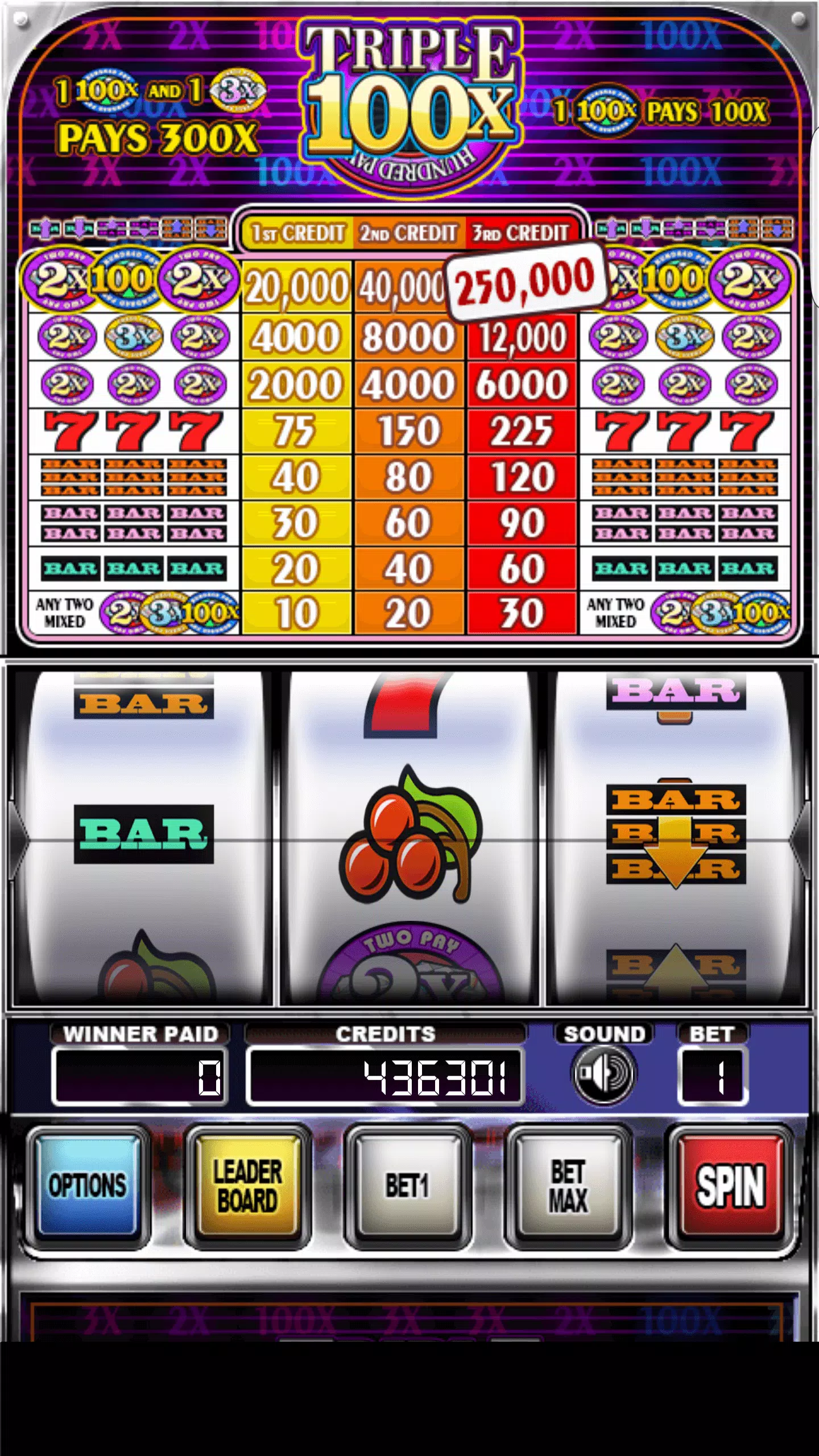 Double Wild Slots স্ক্রিনশট 0