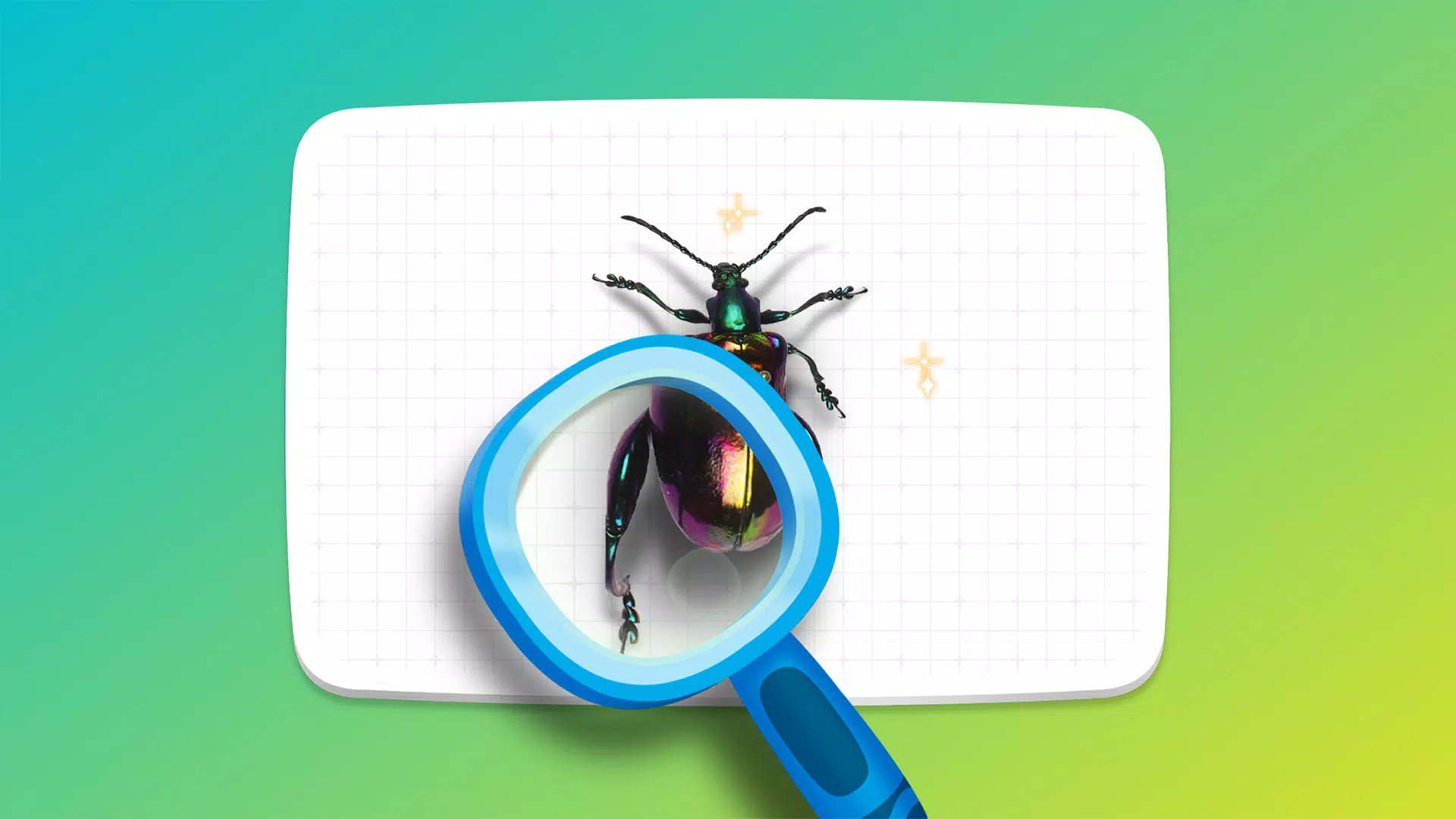 Crayola Create & Play Schermafbeelding 1
