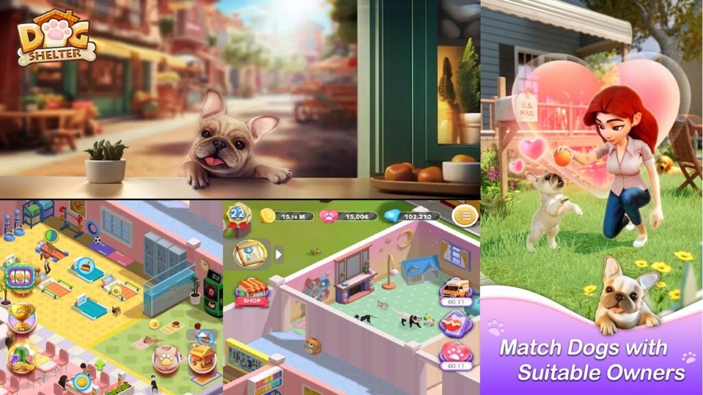 Cães, magnatas e dilemas digitais: o reino enigmático do abrigo para cães