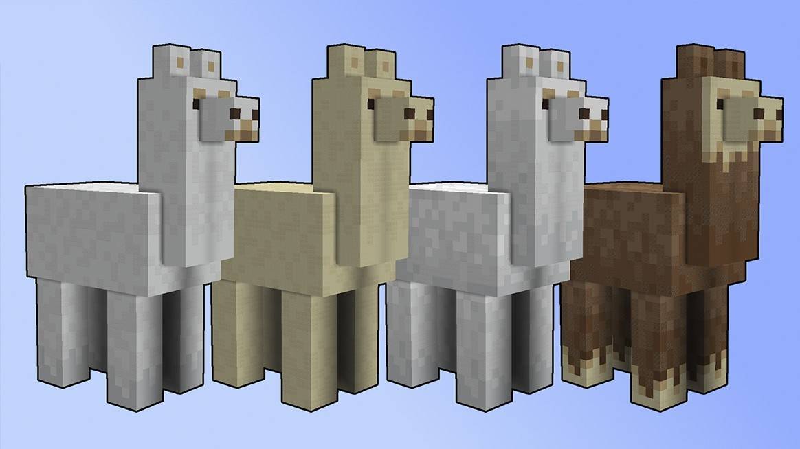 MINECRAFT တွင် LANMAS