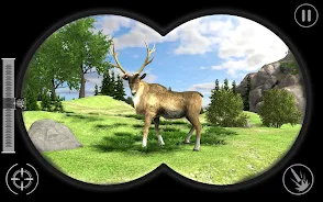 Real Jungle Animals Hunting應用截圖第0張