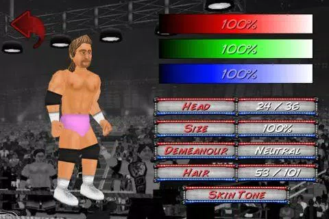 Schermata Wrestling Revolution 1