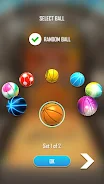 Basketball Flick 3D應用截圖第2張