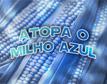 Atopa o Milho Azul應用截圖第0張