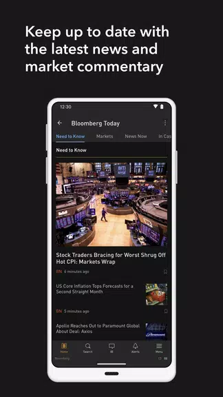 Bloomberg Professional Captura de tela 2
