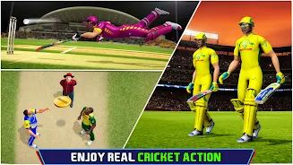 Indian Cricket Championship Tangkapan skrin 1