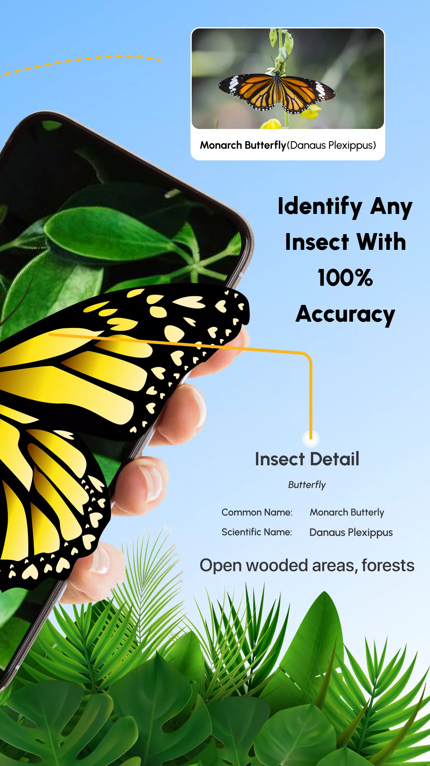Insect Identifier Bug Identify ภาพหน้าจอ 1