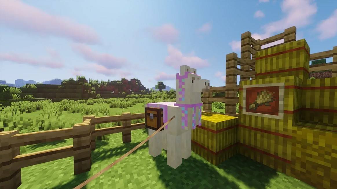 တစ် ဦး llama ဦး ဆောင်လမ်းပြ