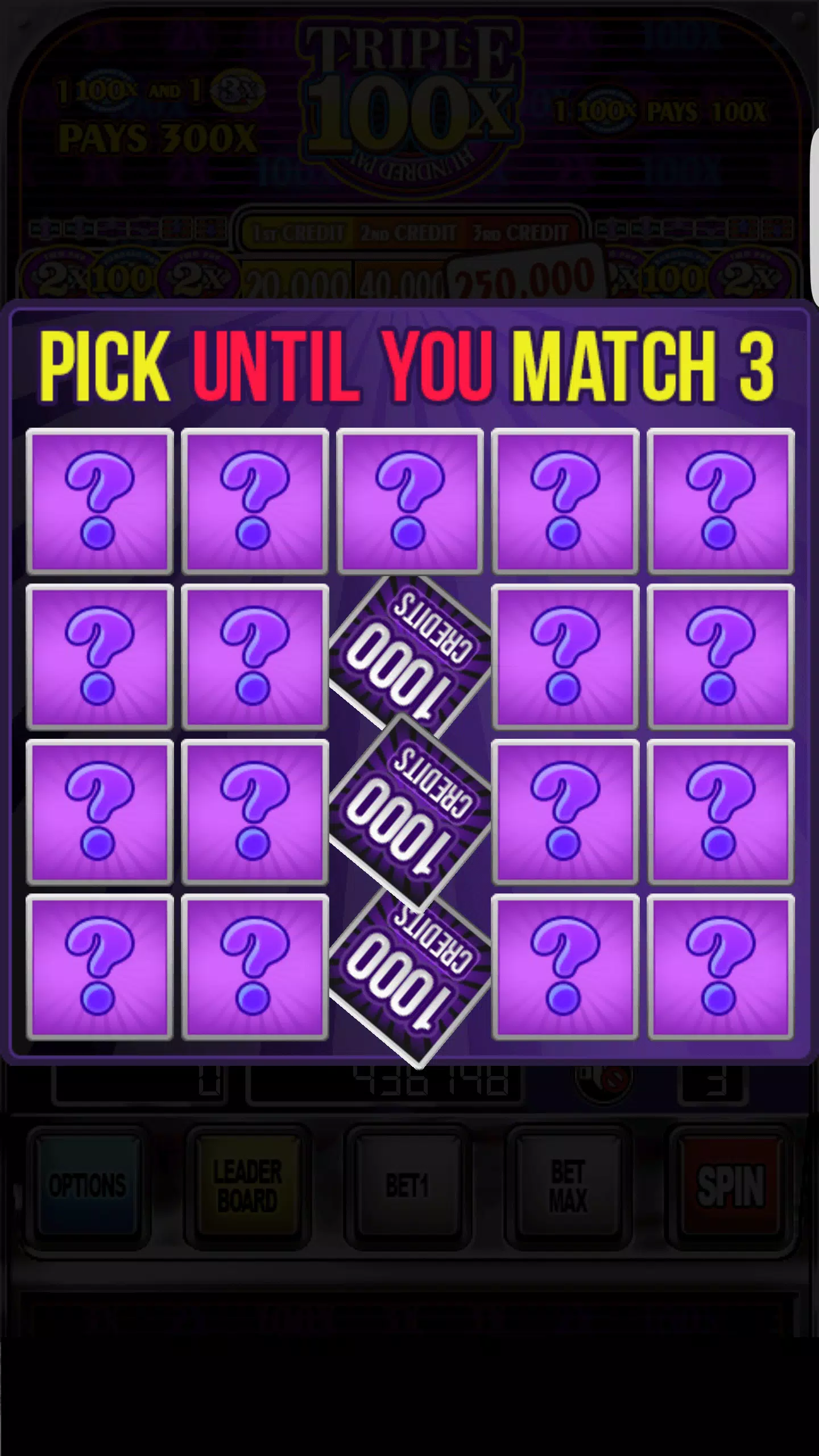Double Wild Slots স্ক্রিনশট 3