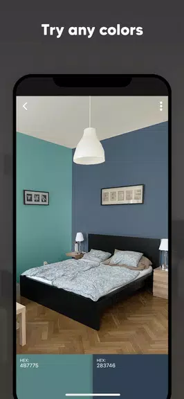 Paint my Room - Try wall color ဖန်သားပြင်ဓာတ်ပုံ 2