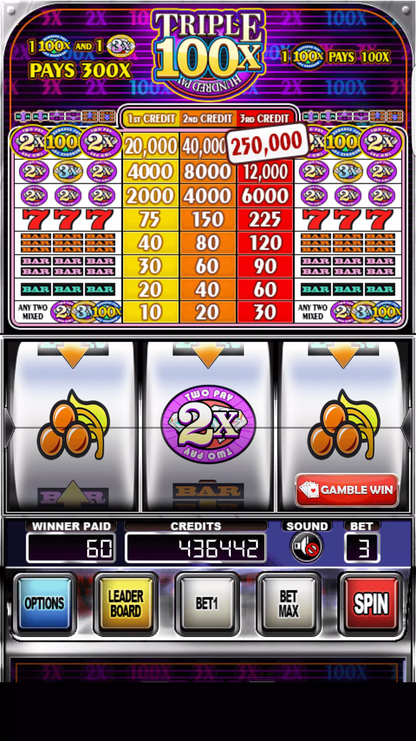 Double Wild Slots স্ক্রিনশট 1