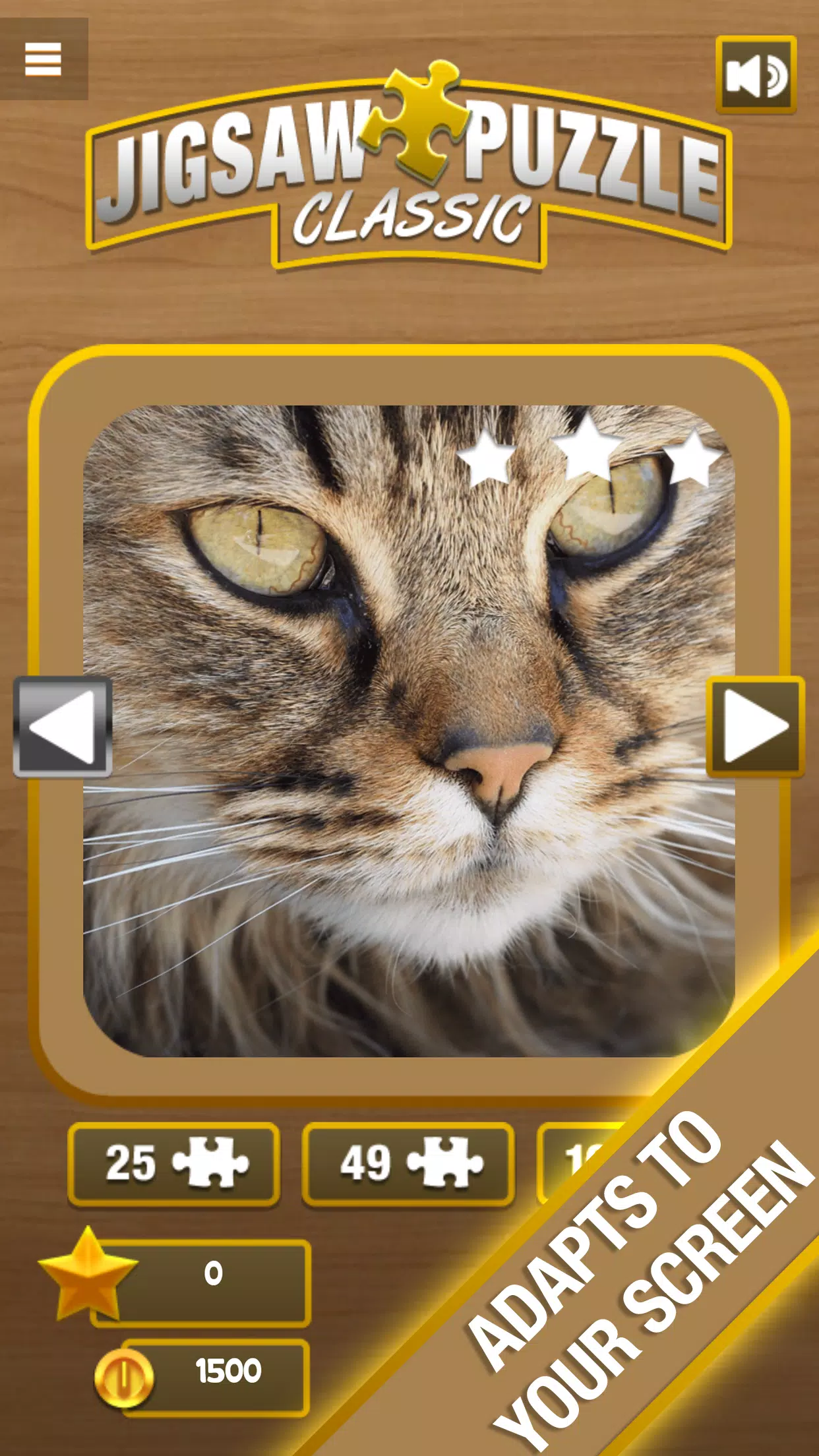 Jigsaw Puzzle Screenshot 2