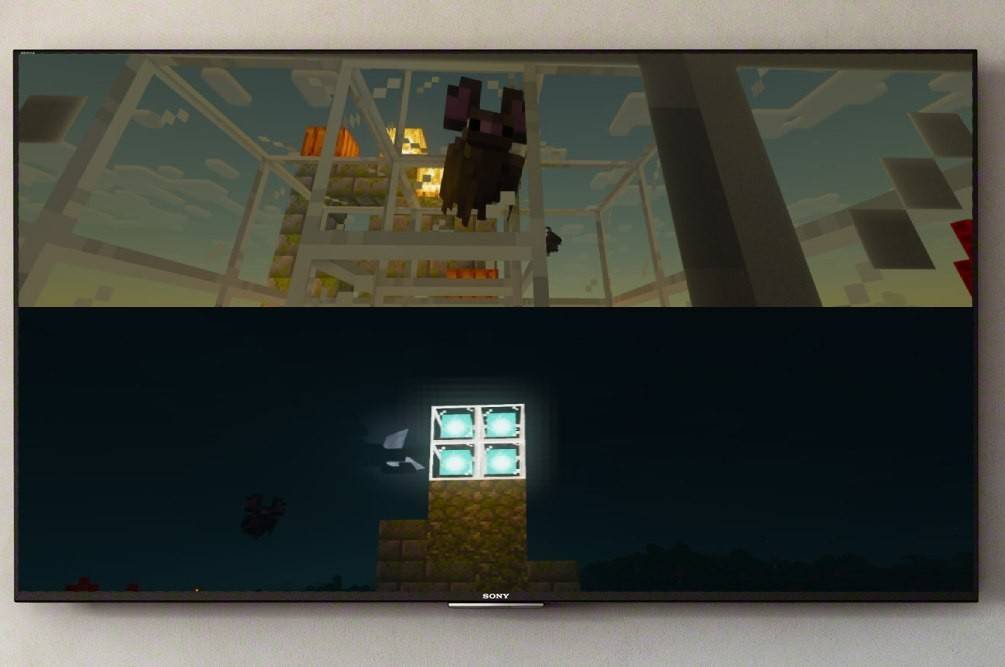 Splitscreen sa Minecraft