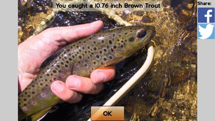 Fly Fishing Simulator HD應用截圖第2張