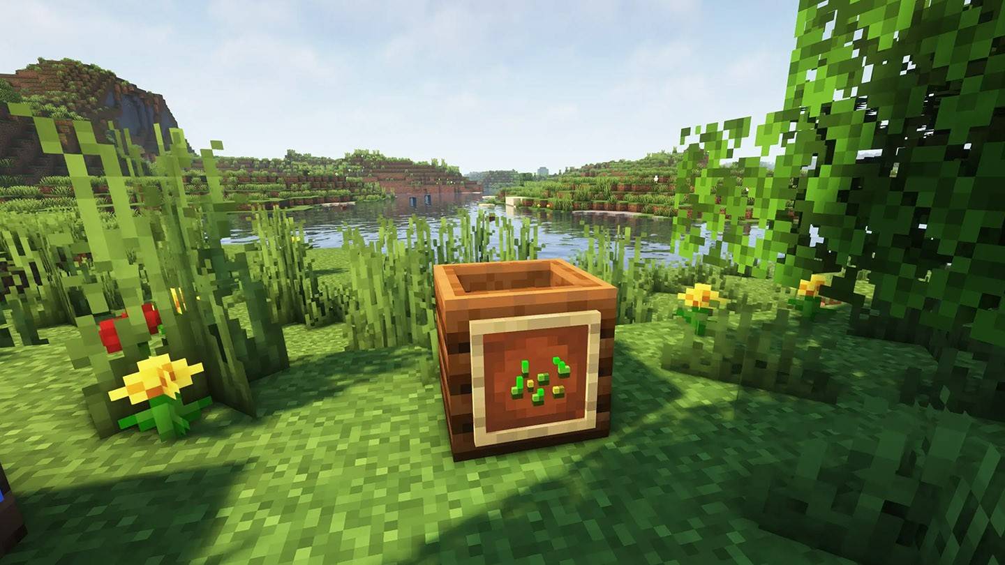 Minecraft中的组成坑：设置和使用