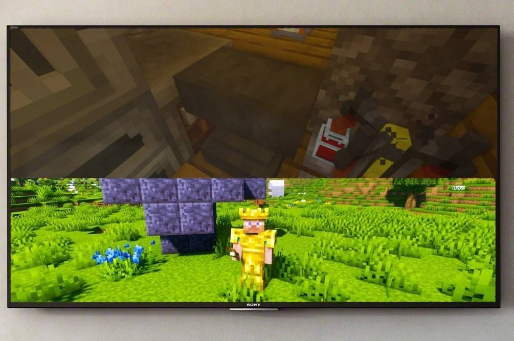 Splitscreen sa Minecraft