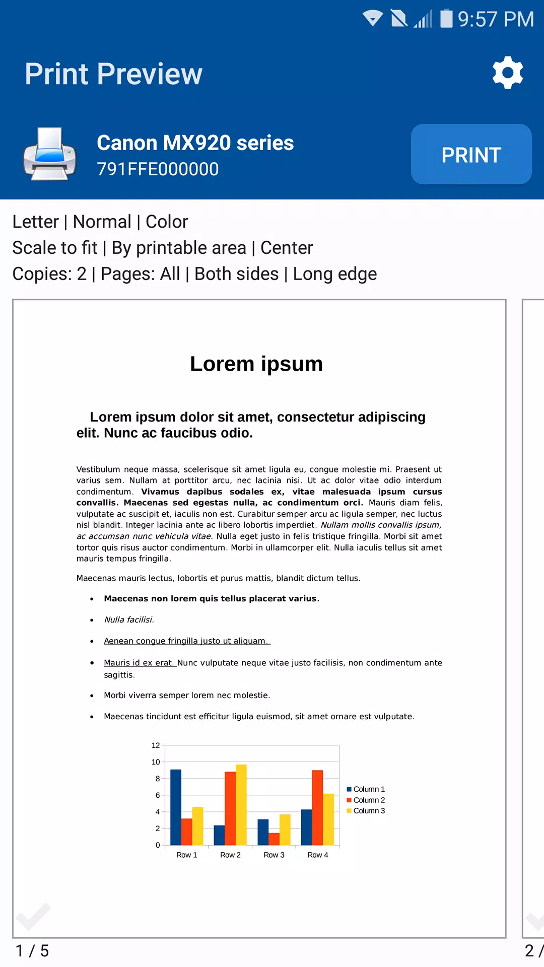 NokoPrint Schermafbeelding 2