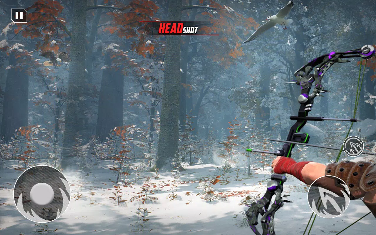 Archery Bow Hunt Shooting V2 Ekran Görüntüsü 2