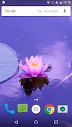 Zen Live Wallpaper應用截圖第2張