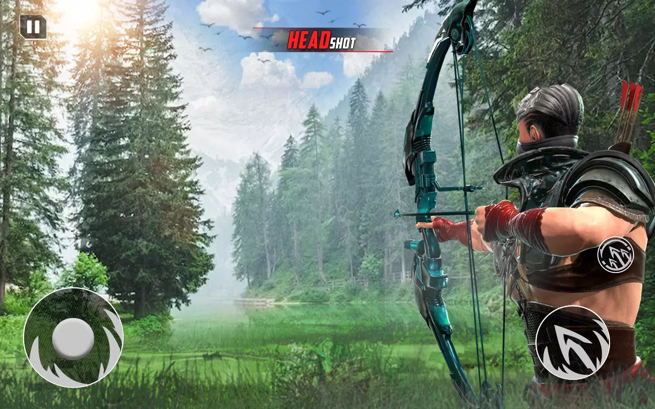 Archery Bow Hunt Shooting V2 Ekran Görüntüsü 0