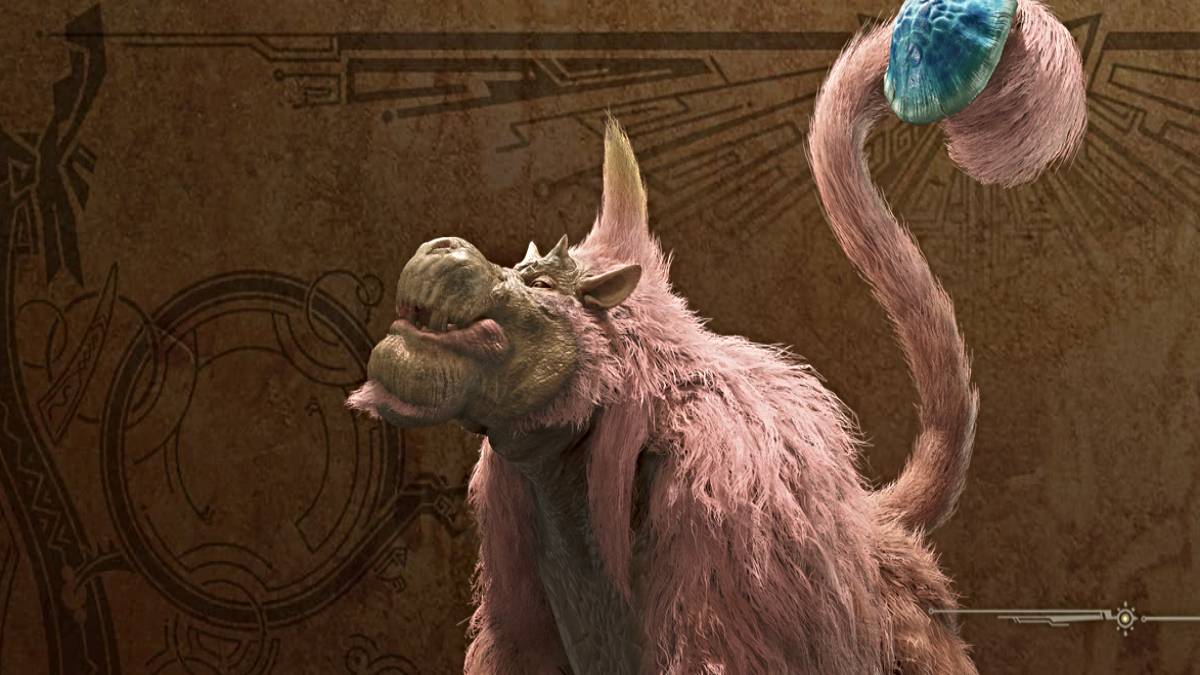 มอนสเตอร์ Congalala ใน Monster Hunter Wilds