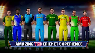 Indian Cricket Championship Tangkapan skrin 2