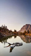 Amazing Nature Wallpapers應用截圖第1張