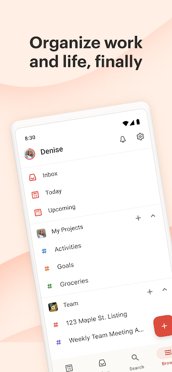 Todoist: To-do Liste & Planer Screenshot 0