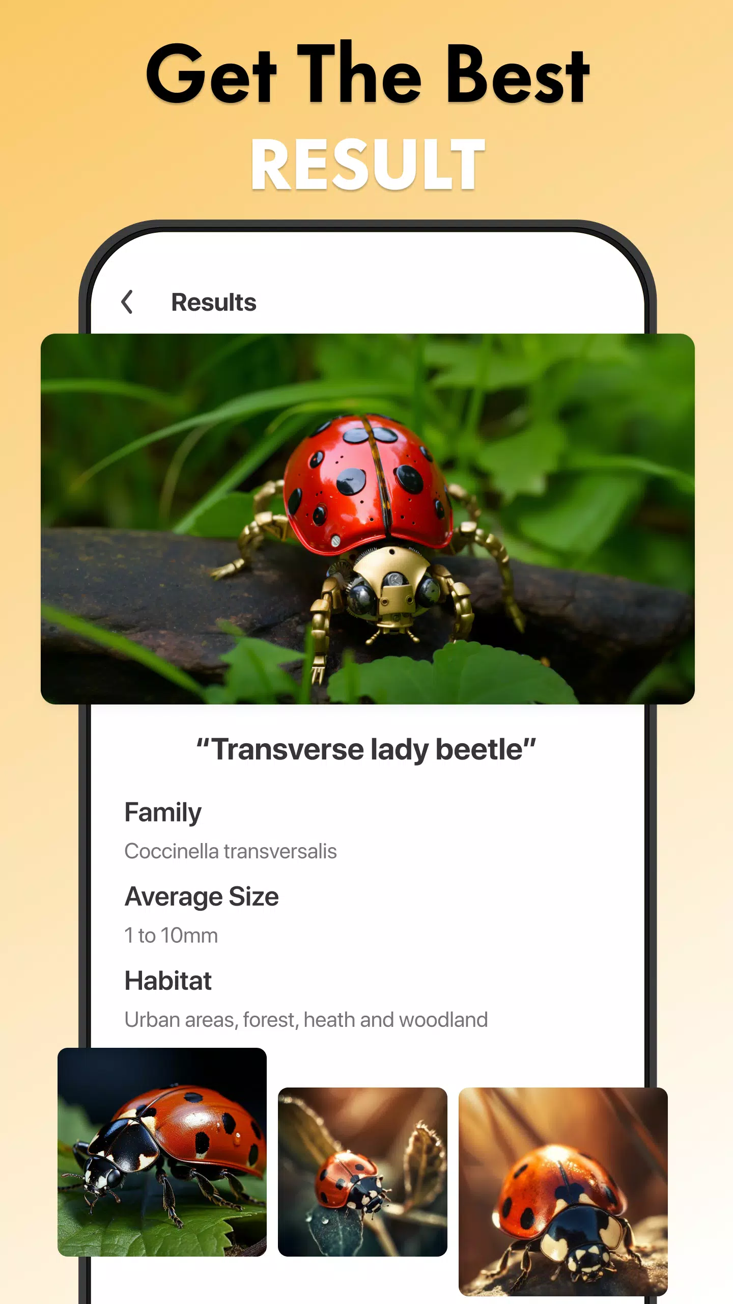 Insect Identifier Bug Identify ภาพหน้าจอ 2