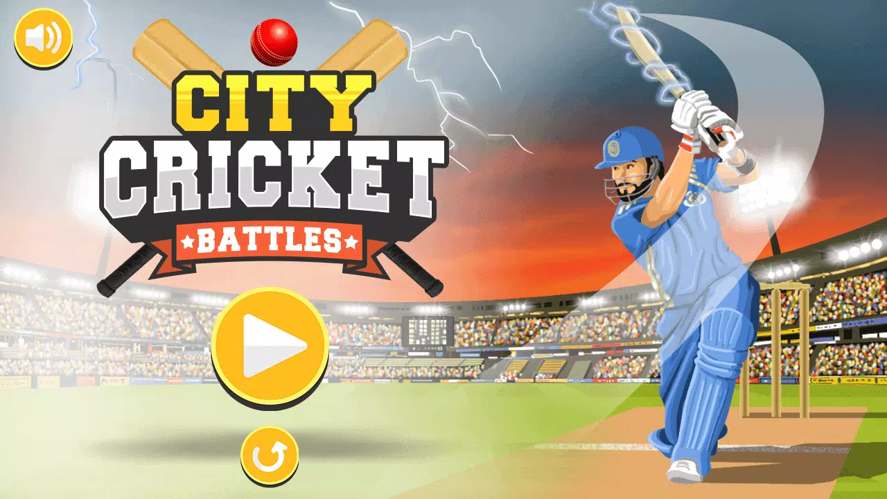 City Cricket Game ภาพหน้าจอ 3